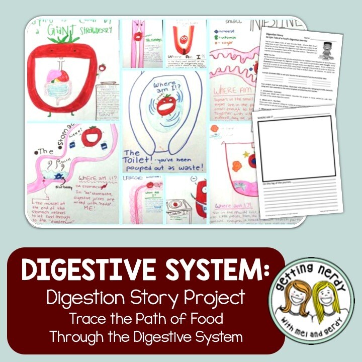 Digestion Story - Human Body Project