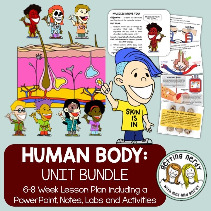 Human Body Systems - PowerPoint & Handouts Unit - Distance Learning + Digital Lesson