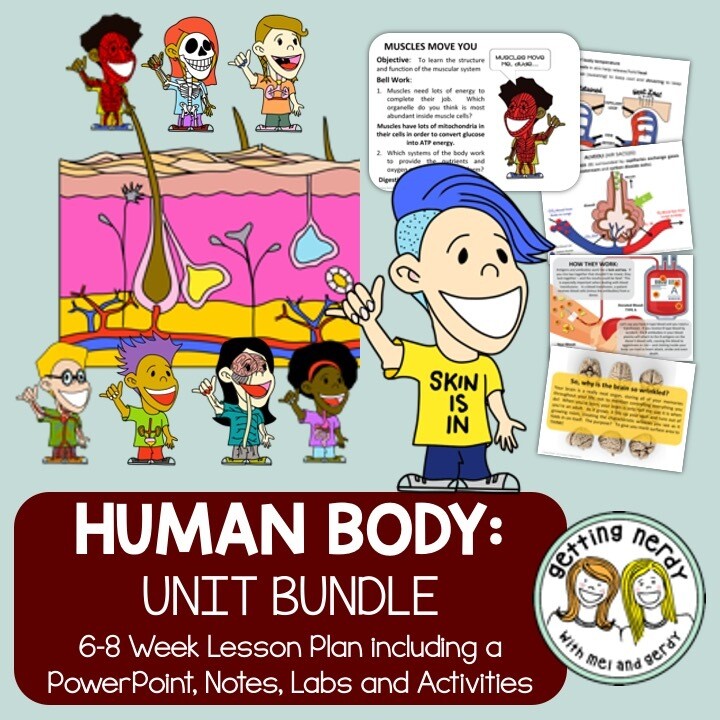 Human Body Systems - PowerPoint &amp; Handouts Unit Bundle