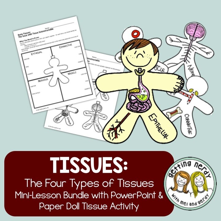 Human Body Tissues - PowerPoint, Notes, and Activity