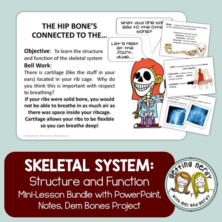 Skeletal System - Human Body PowerPoint, Notes, and Project