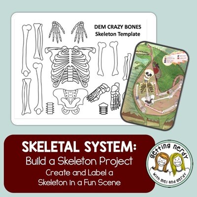 Skeletal System - Skeleton Project Distance Learning + Digital Lesson