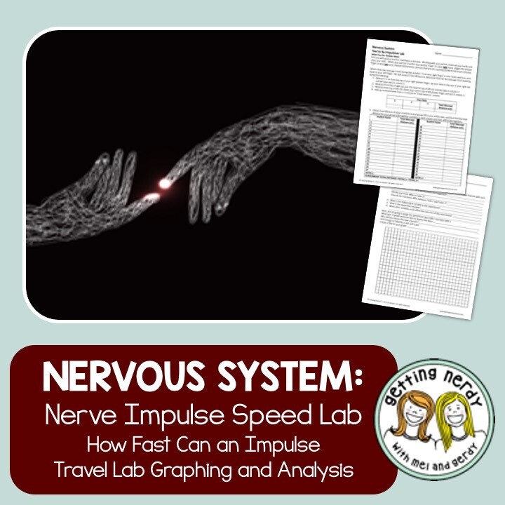 Nervous System - Neuron Speed Lab