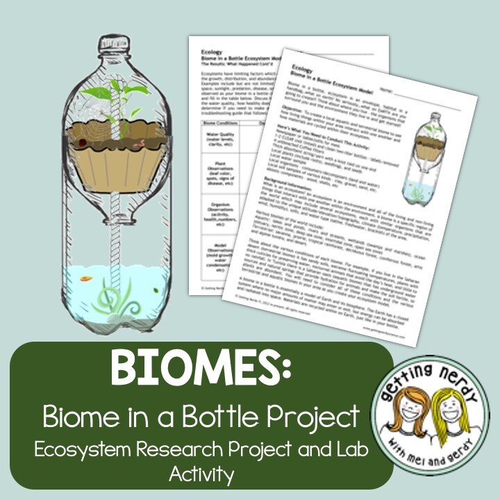 Ecology - Biome in a Bottle Ecosystem Model Lab Project
