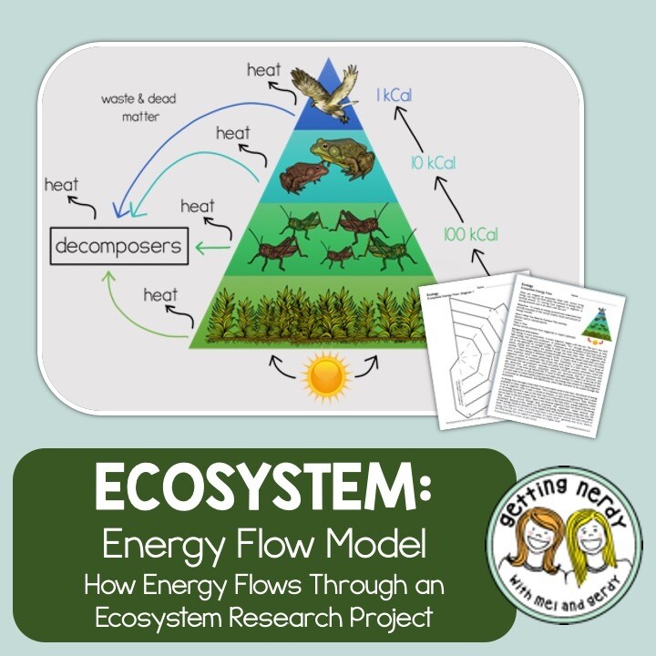 Ecology - Ecosystem Energy Flow Model - Distance Learning + Digital Lesson