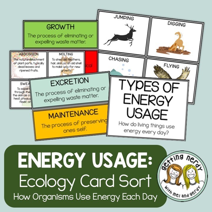 Ecology - Energy Usage Card Sort Activity - Distance Learning + Digital lesson