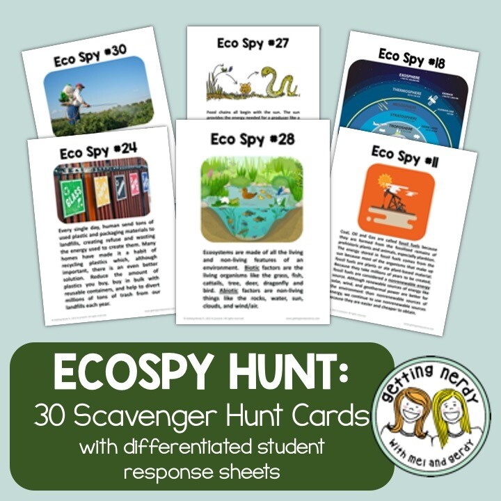 Ecology Scavenger Hunt Review Activity - Distance Learning + Digital Lesson