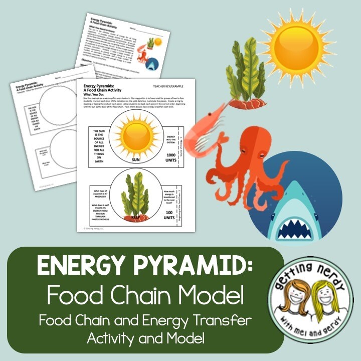 Energy Pyramid Model for Ecosystems