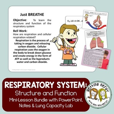 Respiratory System - Human Body PowerPoint, Notes, and Lab