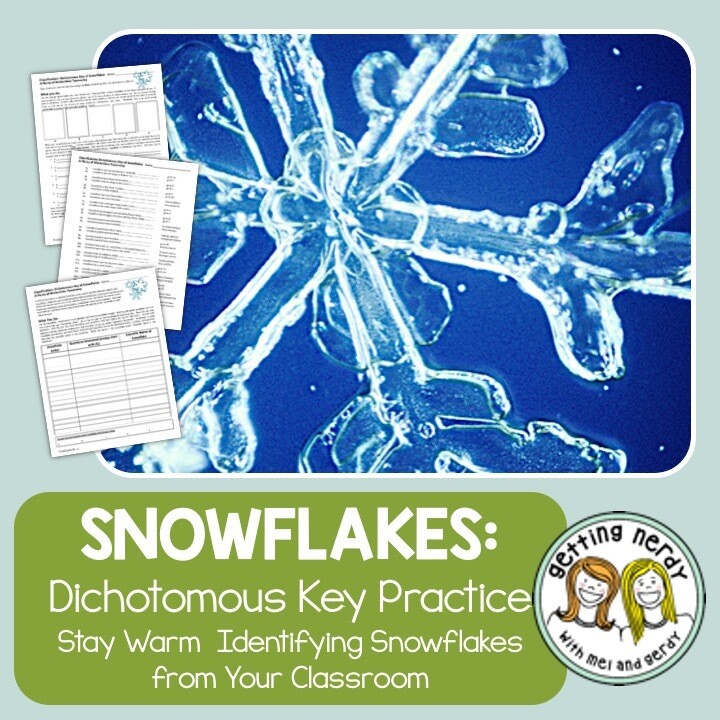 Christmas Science a Winter Snowflake Dichotomous Key - Holiday Taxonomy