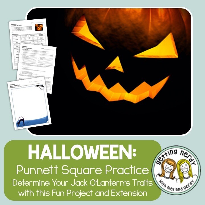 Punnett Squares - Fall Halloween Jack o' All Traits Genetics Activity