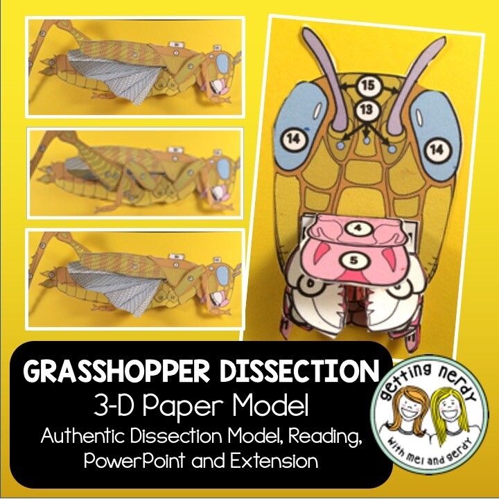 Grasshopper Paper Dissection - Scienstructable 3D Dissection Model - Distance Learning + Digital Lesson