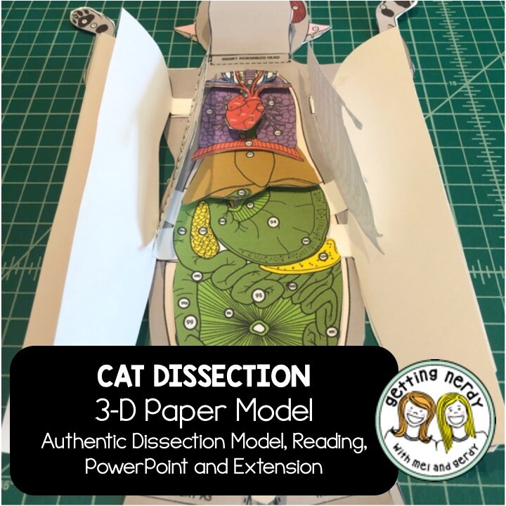 Cat Paper Dissection - Scienstructable 3D Dissection Model Paper + Digital
