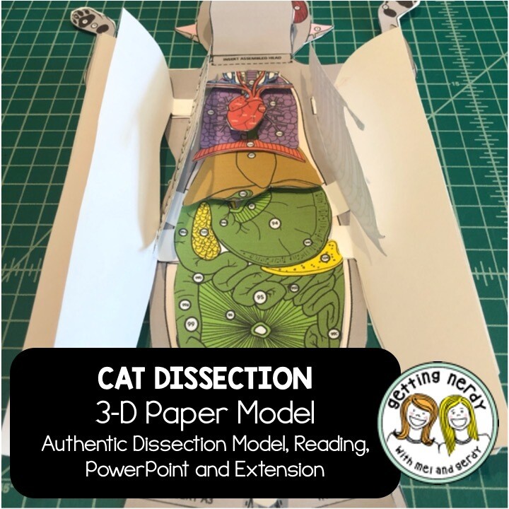 Cat Scienstructable 3D Dissection Paper Model