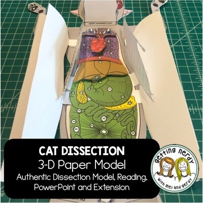 Cat Paper Dissection - Scienstructable 3D Dissection Model - Distance Learning + Digital Lesson