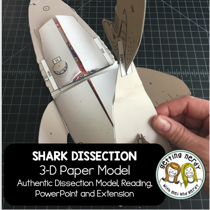 Shark Paper Dissection - Scienstructable 3D Dissection Model - Distance Learning + Digital Lesson