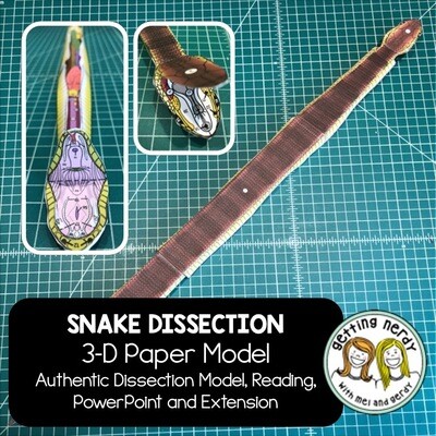 Snake Paper Dissection - Scienstructable 3D Dissection Model - Distance Learning + Digital Lesson