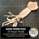 Squid - Scienstructable 3D Dissection Paper Model