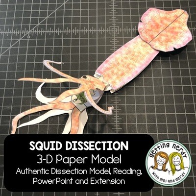 Squid Paper Dissection - Scienstructable 3D Dissection Model - Distance Learning + Digital Lesson