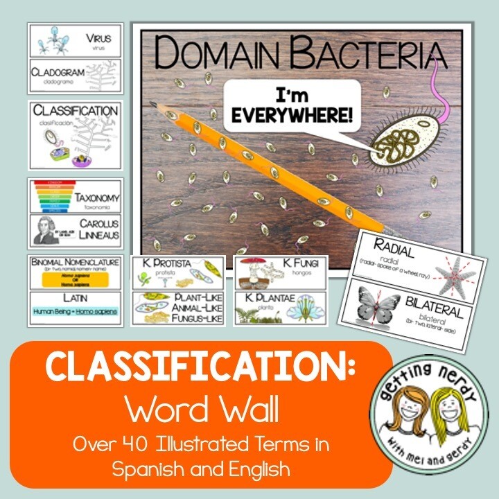 Classification - Word Wall