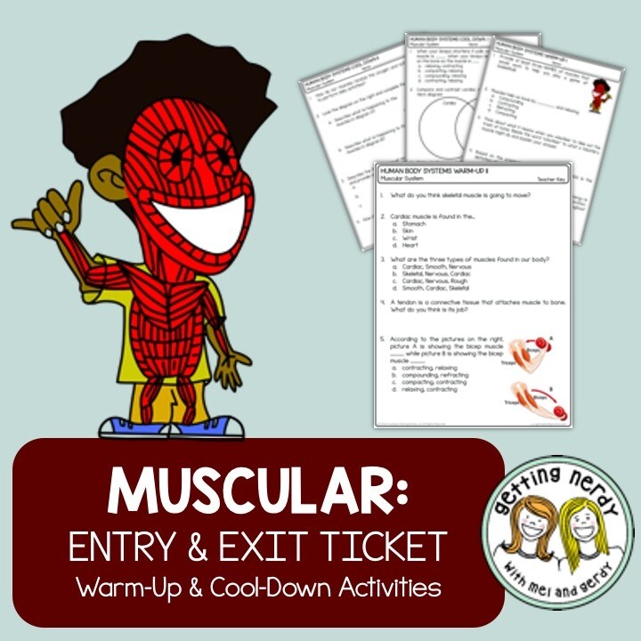 Muscular System Warm-Up & Exit Ticket Pack + Digital Lesson