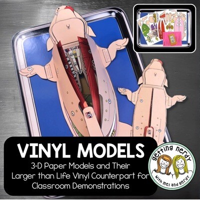 Vinyl Dissection Models