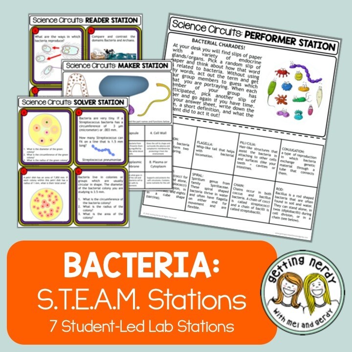 Bacteria Classification - Science Centers / Lab Stations