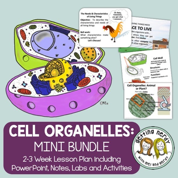 Cell Organelles Structure & Function - PowerPoint & Handouts - Distance Learning + Digital Lesson