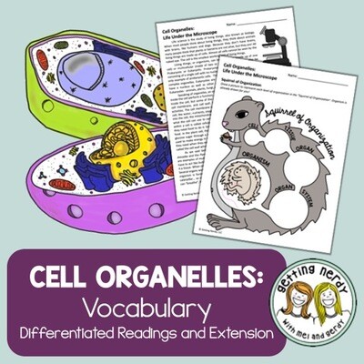 Cell Organelles - Differentiated Vocabulary Lesson, PowerPoint, and Notes