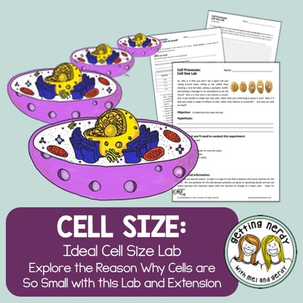 Cell Diffusion Lab