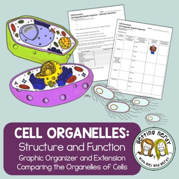 Cell Organelles Structure &amp; Function - Graphic Organizer &amp; PowerPoint