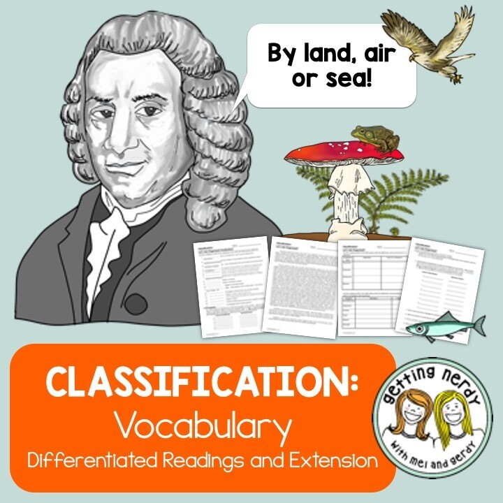 Classification Vocabulary