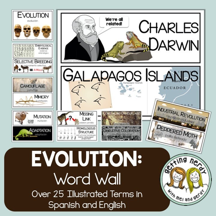 Evolution - Word Wall