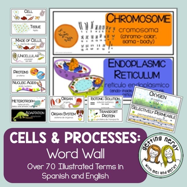 Cells - Word Wall
