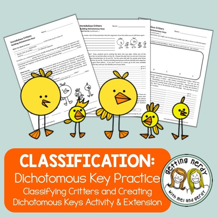 Dichotomous Key Practice