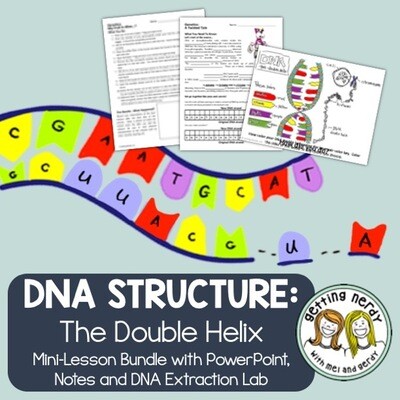 DNA Discovery and Structure - Genetics PowerPoint and Handouts