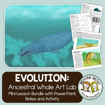 Evidence of Evolution - PowerPoint and Handouts