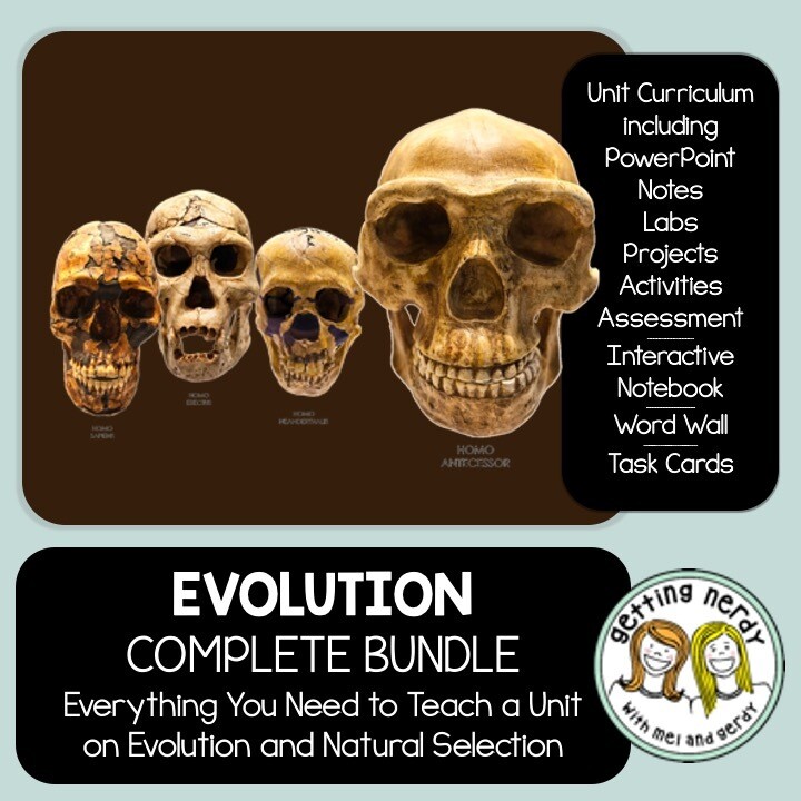 Evolution Complete Bundle - PowerPoint Unit, INB, Task Cards, Word Wall Lessons