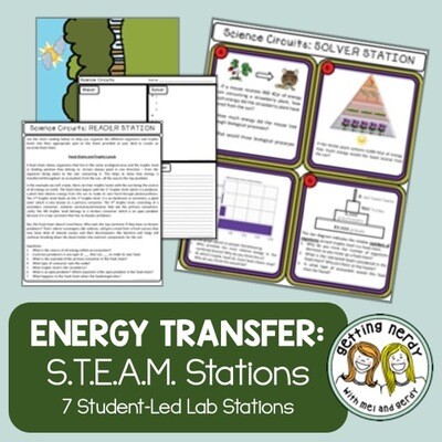 Ecology - Science Centers / Lab Stations - Food Chains Webs Energy Pyramid