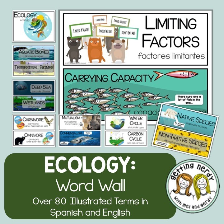 Ecology - Word Wall