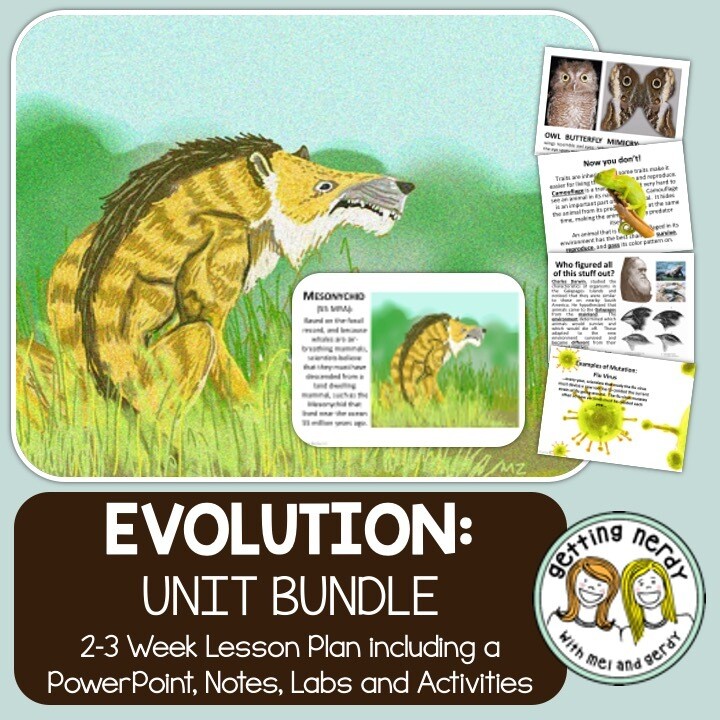 Evolution, Natural Selection, & Adaptation - PowerPoint & Handouts Unit