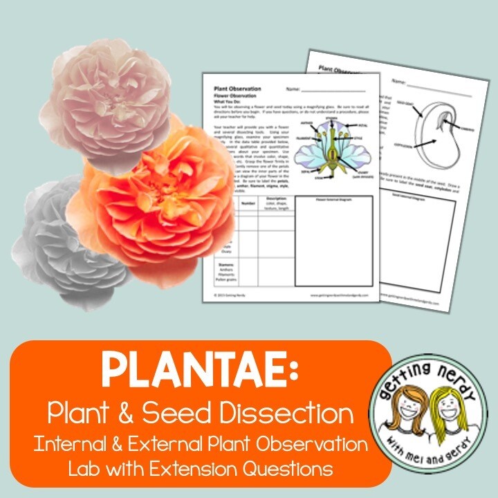 Flowering Plant and Seed Dissection Lab