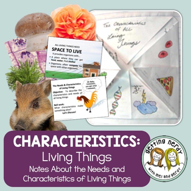 Needs & Characteristics of Living Things - PowerPoint, Notes, and INB Activity