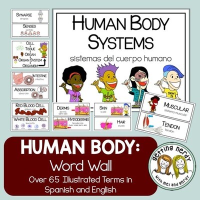 Human Body Systems - Word Wall
