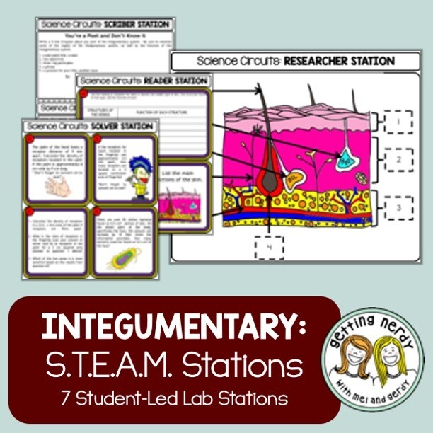 Integumentary System - Science Centers / Lab Stations