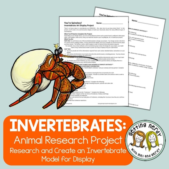 Invertebrate Project