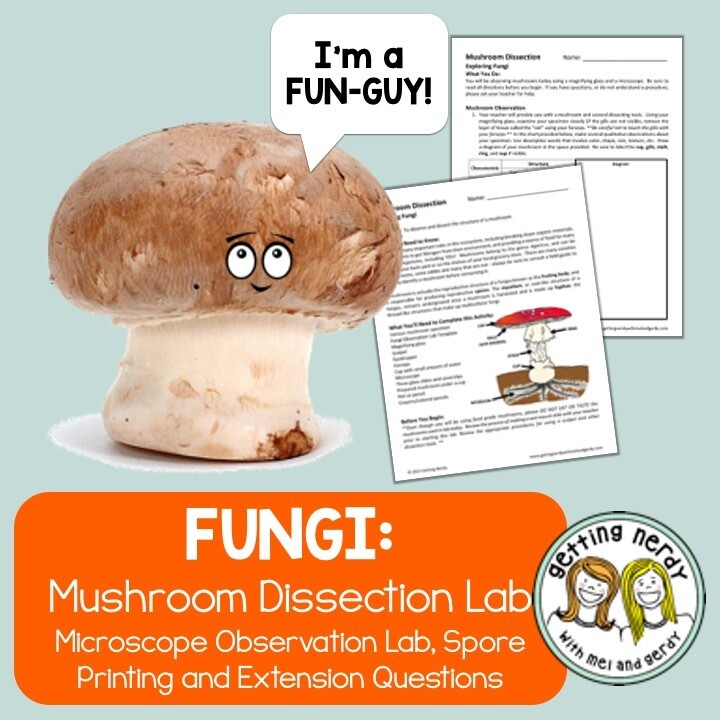 Mushroom Dissection