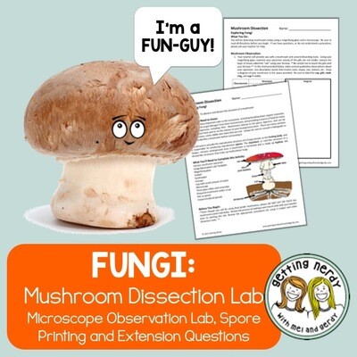 Mushroom Dissection