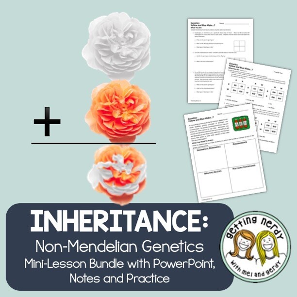 Complex Genetics: Non-Mendelian Patterns of Inheritance - PowerPoint and Notes