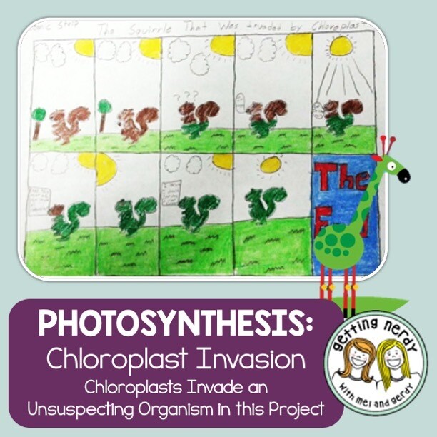 Photosynthesis Project